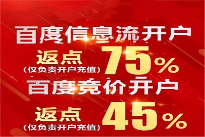 某行业巨头背后的SEM代运营服务公司